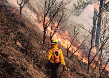 INAB registra de enero a la fecha 78 incendios 48 forestales y 30 de pastizales