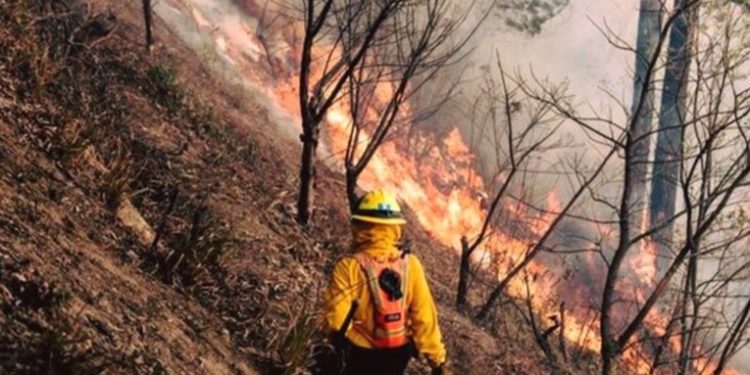 INAB registra de enero a la fecha 78 incendios 48 forestales y 30 de pastizales