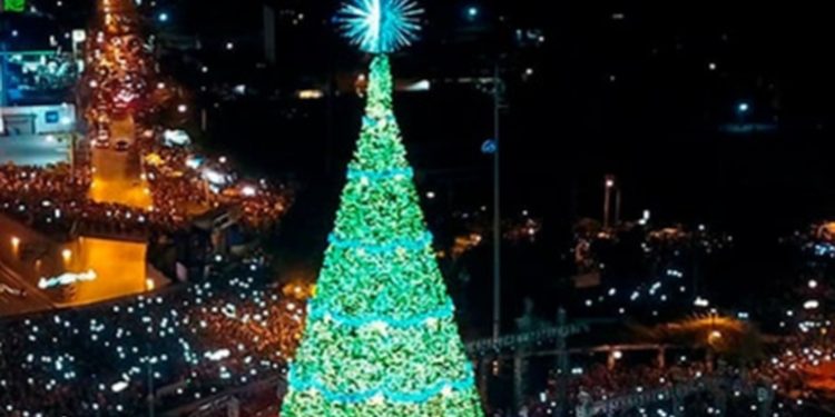 Inauguración del Árbol Gallo ilumina la temporada navideña