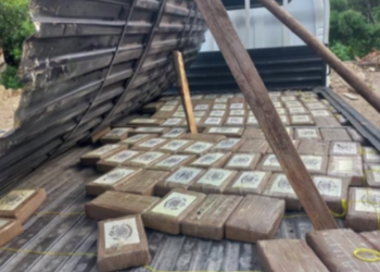 Incautan 100 Paquetes de Drogas Valorados en Q10 Millones en Huehuetenango