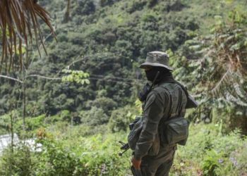 Incautan 2,3 toneladas de cocaí­na a guerrilla del ELN en Colombia