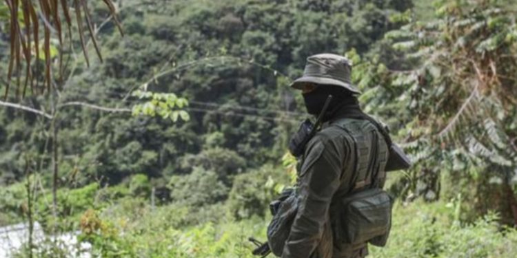 Incautan 2,3 toneladas de cocaí­na a guerrilla del ELN en Colombia