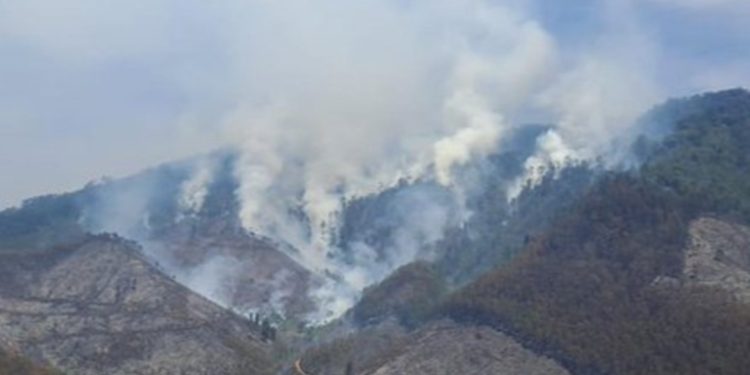 Incendio cerca del Biotopo del Quetzal sigue sin control
