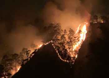 Incendio forestal de zona 11 de Mixco cobra la vida de dos bomberos