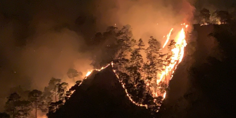 Incendio forestal de zona 11 de Mixco cobra la vida de dos bomberos