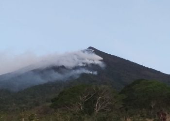 Incendio forestal deja grandes daños