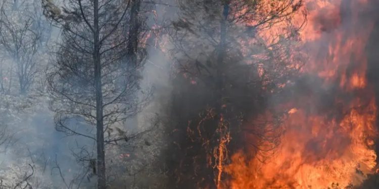 Incendio obliga a evacuar a miles de personas en California