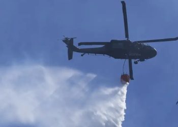 Incendios consumen 44.000 hectáreas de bosques en Colombia