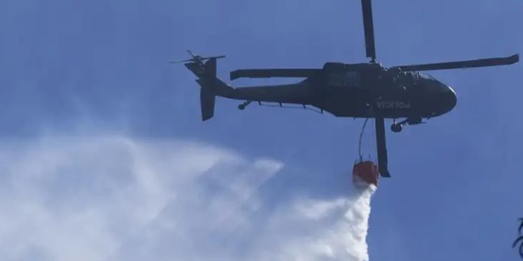 Incendios consumen 44.000 hectáreas de bosques en Colombia