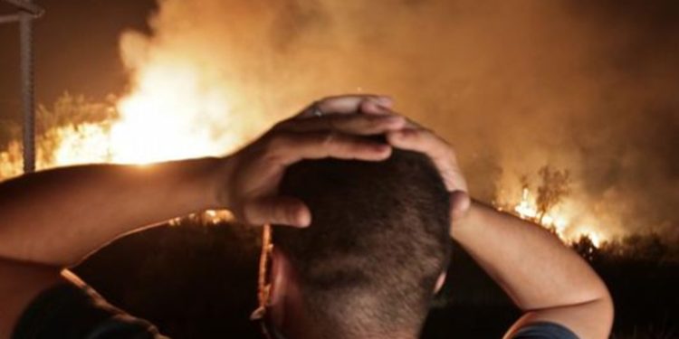 Incendios dejan 69 muertos y 20 desaparecidos en Argelia