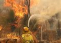 Incendios en Australia obligan a pobladores a huir de casa