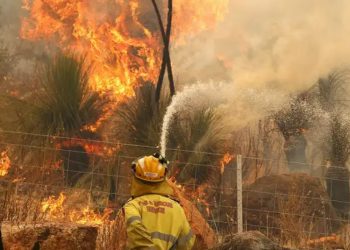 Incendios en Australia obligan a pobladores a huir de casa