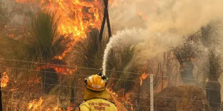 Incendios en Australia obligan a pobladores a huir de casa
