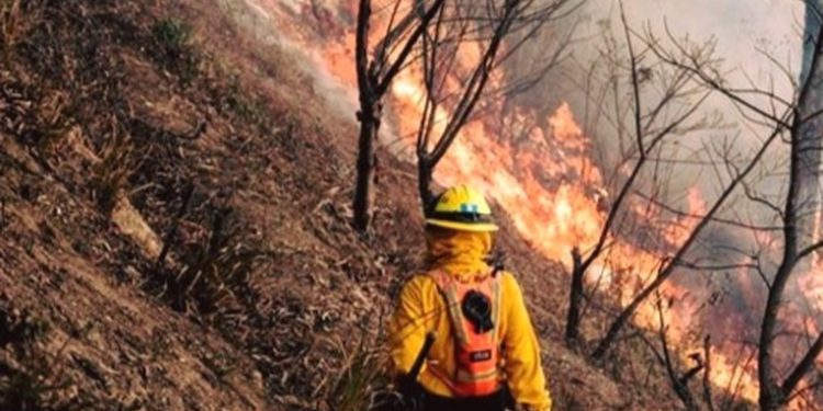 Incendios forestales arrasan más de mil hectáreas en Guatemala, alerta el Inab