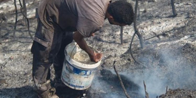 Incendios forestales dejan 26 muertos en Argelia