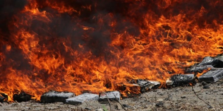 Incineran 950 kilos de cocaí­na en finca San José El Golfo