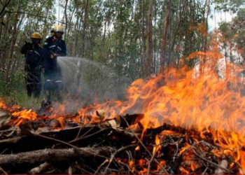 Incremento de incendios forestales en varios departamentos del paí­s.