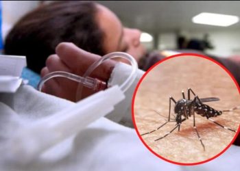 Informe de la semana 44, 184 fallecidos por Dengue y más de 160 mil casos confirmados