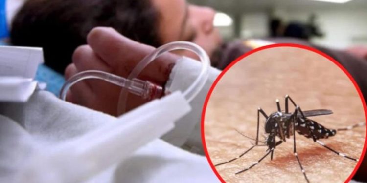 Informe de la semana 44, 184 fallecidos por Dengue y más de 160 mil casos confirmados