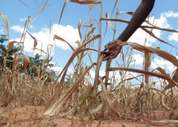 Inician capacitación y orientación a agricultores y ganaderos para prevenir desastres