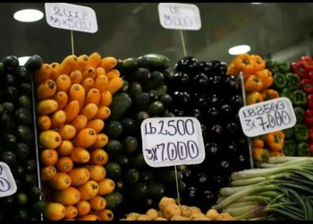 Inseguridad alimentaria en Colombia se redujo del 30 al 25%