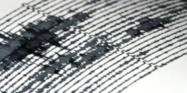 Instituciones implementarán sistema de alerta sísmica en la capital