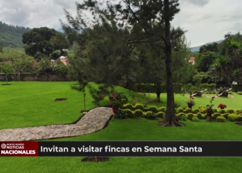 Instituto Nacional de Bosques invitan a visitar fincas en Semana Santa