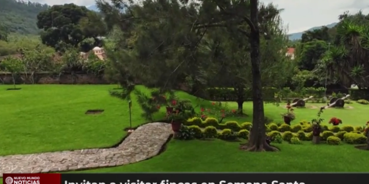 Instituto Nacional de Bosques invitan a visitar fincas en Semana Santa