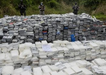 Investigación revela conexión entre empresas navieras y cargamento de cocaína procedente de Guatemala