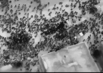 Investigación sobre masacre en Gaza durante reparto de ayuda