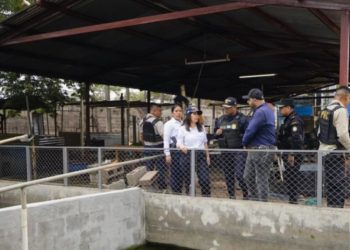 Investigan a guardias de El Infiernito por ingreso de objetos prohibidos y animales exóticos