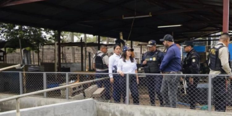 Investigan a guardias de El Infiernito por ingreso de objetos prohibidos y animales exóticos