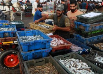 Israel alivia algunas restricciones en la Franja de Gaza