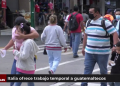 Italia ofrece trabajo temporal a guatemaltecos