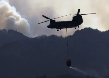 Japón: cientos de bomberos combaten enorme incendio forestal