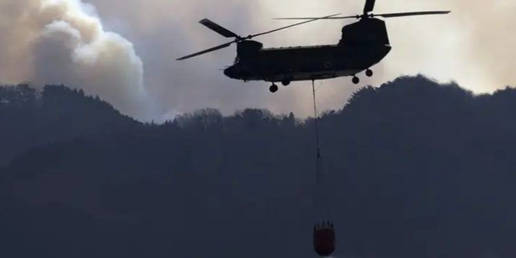Japón: cientos de bomberos combaten enorme incendio forestal