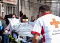 Jardinero tuvo que ser hospitalizado por ataque de abejas