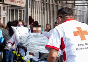 Jardinero tuvo que ser hospitalizado por ataque de abejas