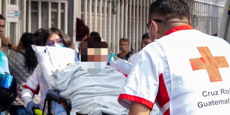 Jardinero tuvo que ser hospitalizado por ataque de abejas