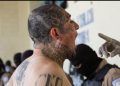 Jefe de la MS-13 es condenado a 1.090 años de cárcel en El Salvador