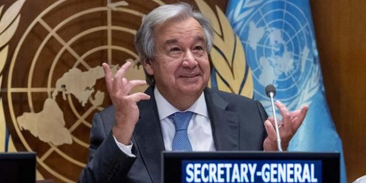 Jefe de la ONU pide cuatro dí­as de tregua humanitaria en Ucrania