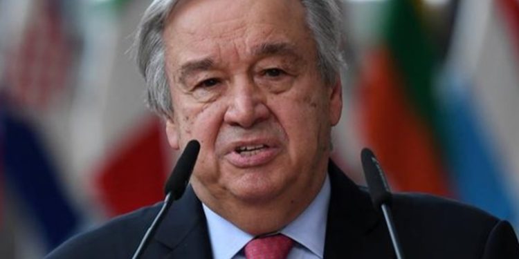 Jefe de la ONU pide reunirse con Putin y Zelenski