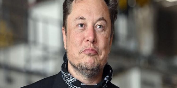 Joven rechaza 5.000 dólares que Elon Musk le ofreció por bajar una cuenta de Twitter