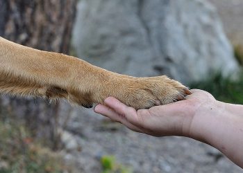 La amistad más antigua del Mundo