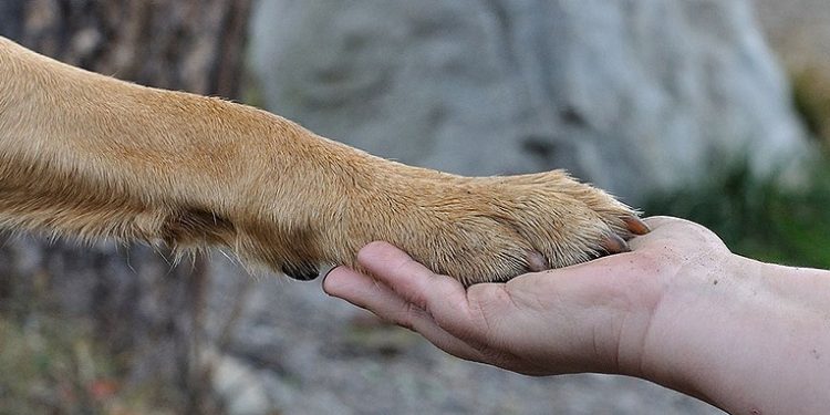 La amistad más antigua del Mundo