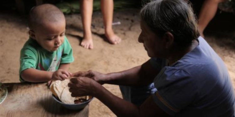 La inseguridad alimentaria en Guatemala llega al 26% de la población