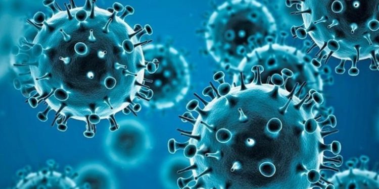 La inteligencia de EE.UU. concluye que el coronavirus no fue elaborado como un arma biológica