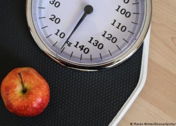 La obesidad, un problema mundial: mitos y soluciones