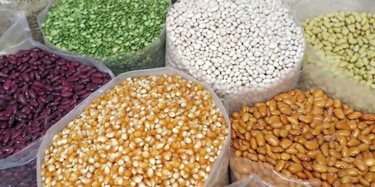 La ONU advierte el aumento de precios de granos básicos y fertilizantes para el próximo año