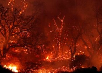 La ONU advierte que la humanidad está atrapada en una 'espiral de autodestrucción'